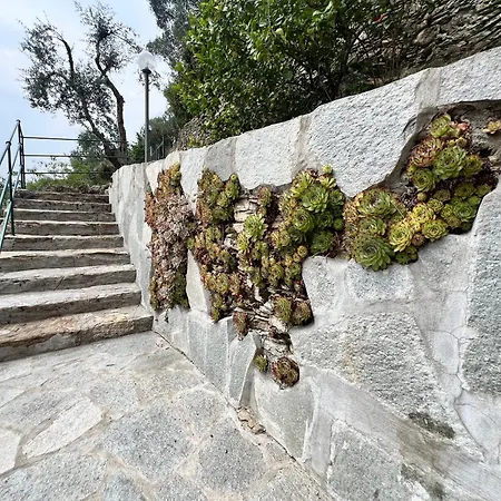 Welcome Riviera - Casa Maria Casa Indipendente In Collina Con Vista ,98 Gradini Per Raggiungerla A Scendere E Salire, Wi-fi Gratuito Incluso San Martino di Noceto